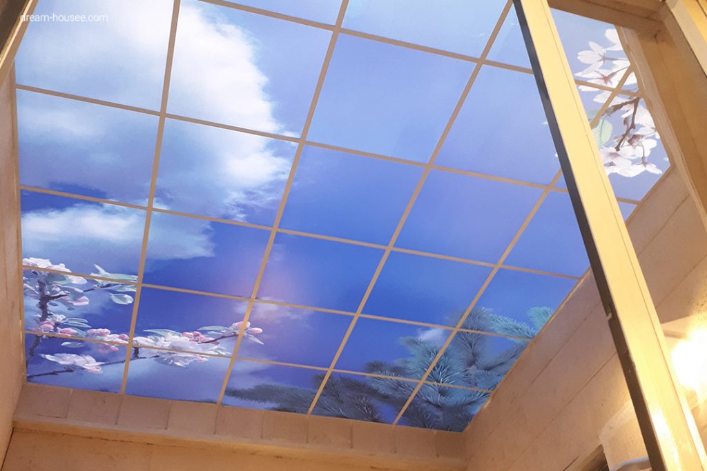 یک نمونه از سقف کاذب مجازی